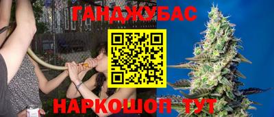 СК Пугачёв