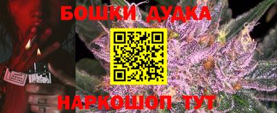 СК Пугачёв