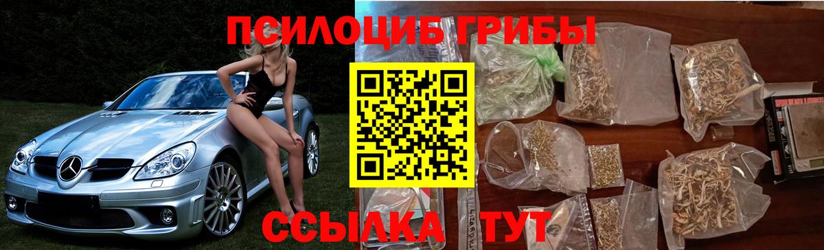 Галлюциногенные грибы GOLDEN TEACHER Прокопьевск